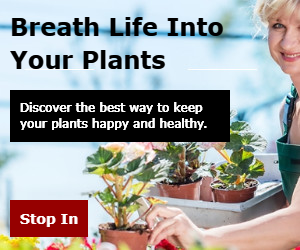 Breathe Life Into Your Plants