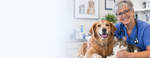 Animal Hospitals