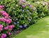 Fed up with lawn weeds? How to get rid of them