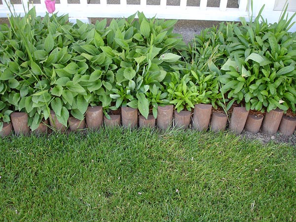 10 Garden Edging Ideas to Elevate Your Landscape Design