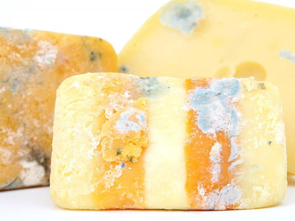 7 Warning Signs Your Food Has Gone Bad and When to Throw It Away
