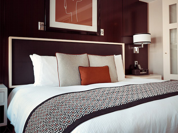 What Attracts Bed Bugs? Understanding the Causes and How to Prevent an Infestation