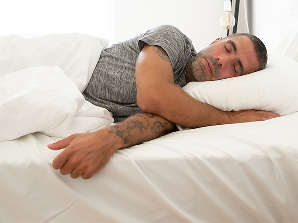 How to Identify and Get Rid of Bed Bugs: A Practical Guide for Homeowners