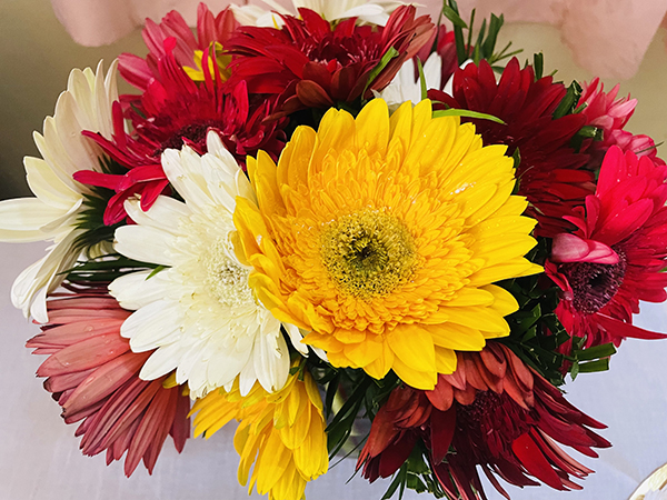 Why Homegrown Flowers Belong in Every Bouquet
