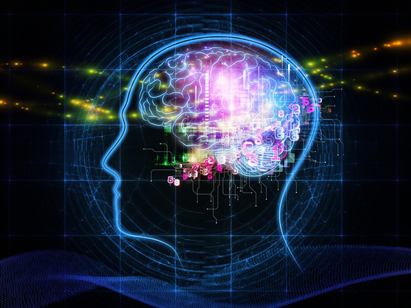 Top Foods to Boost Brain Health and Cognitive Function