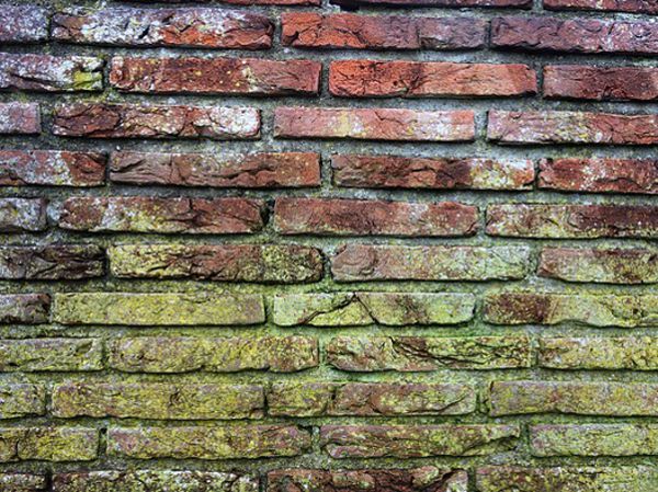Hidden Home Hazards: How to Identify and Address Mold, Asbestos, and Radon