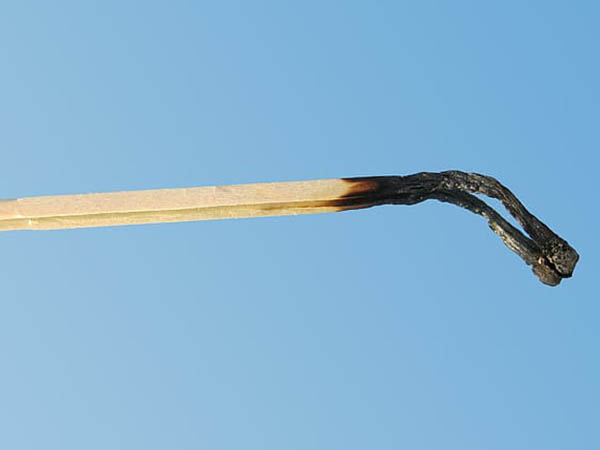 Preventing Burnout in Today’s Workplace: Strategies for Sustainable Success