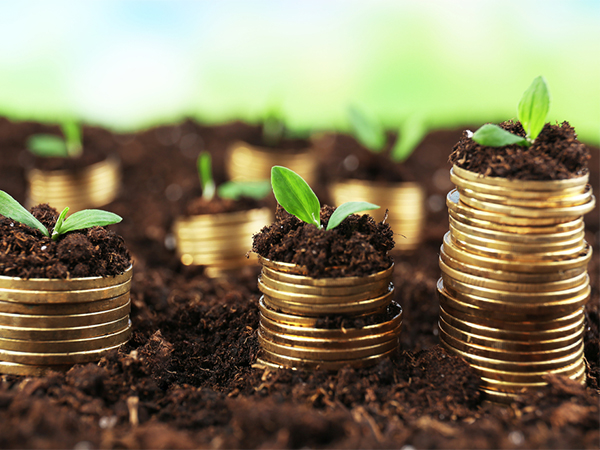 How to Reduce Capital Gains Tax: Smart, Legal Strategies to Keep More of Your Investment Returns