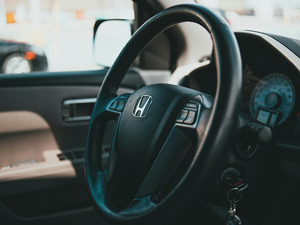 What to Do If You Find Mold in the Car