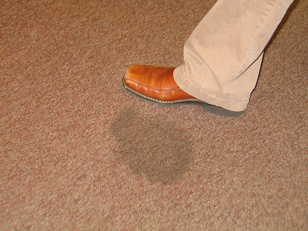 How to Keep Your New Carpet Looking Pristine: Smart Tips for Long-Lasting Beauty