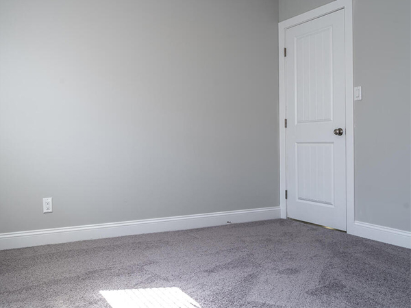 Complete Guide to Carpet Care: How to Keep Your Carpets Clean, Fresh, and Long-Lasting