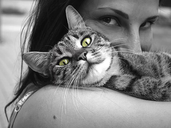 10 Meaningful Ways to Show Your Cat You Love Them