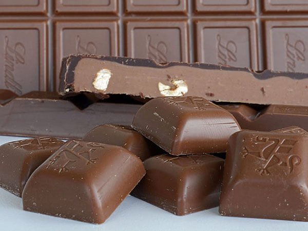 What to Do If Your Dog Eats Chocolate