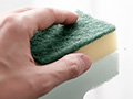 How to Clean Mold and Prevent It From Coming Back