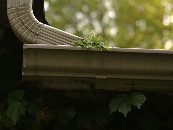 Gutter Cleaning: Why It Matters and How to Do It Safely