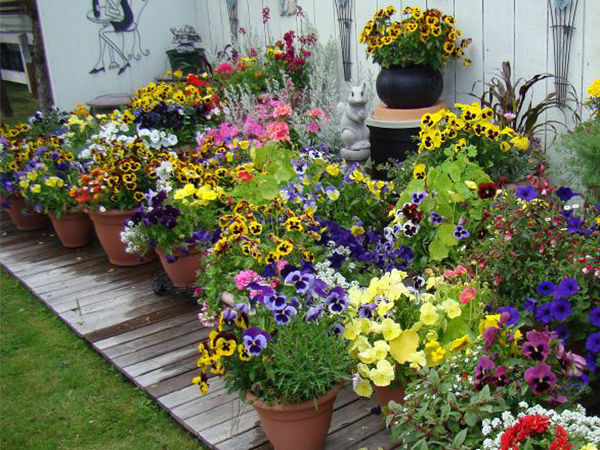 The Easiest Way to Start Container Gardening: Planting in Soil Bags