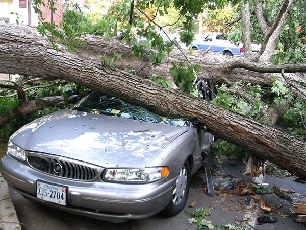 What to Do If a Weather Event Damages Your Car
