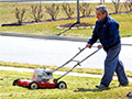 Why Your Lawn May Need Dethatching