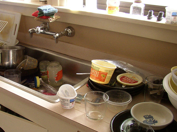 Common Homeowner Mistakes That Invite Pests and How to Prevent Them