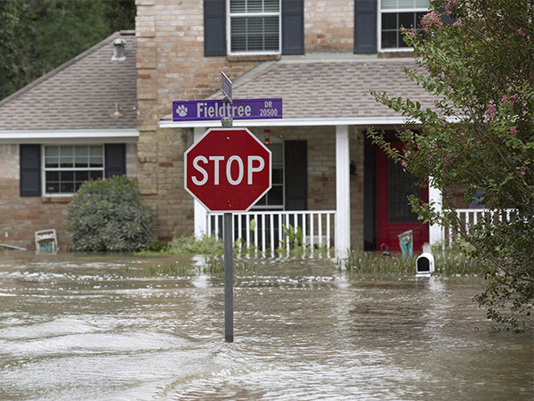 How to Prepare Your Home for a Flood: A Practical Guide for Protection and Peace of Mind