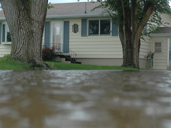How to Keep Rainwater from Flooding Your Yard