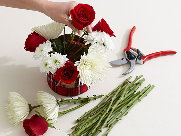 Mastering the Art of Wiring Flower Stems for Stunning Arrangements