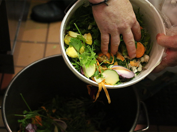 Transform Food Scraps into Garden Gold: Sustainable Composting Made Simple