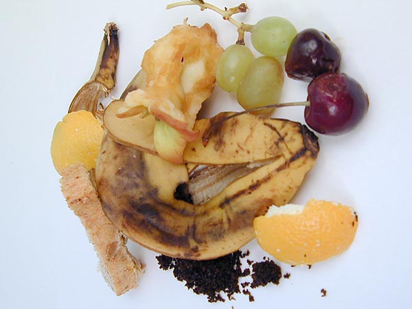 Mindful Cooking: 7 Tips to Reduce Food Waste in the Kitchen