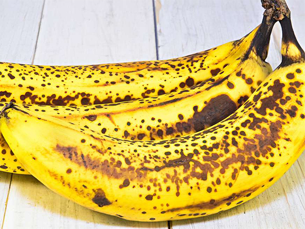 Items in the Kitchen that Attract Fruit Flies