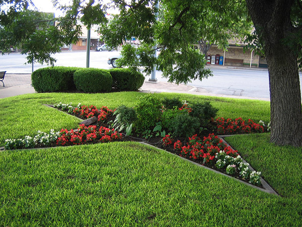 Designing a Garden for Meaning, Mindfulness, and Connection
