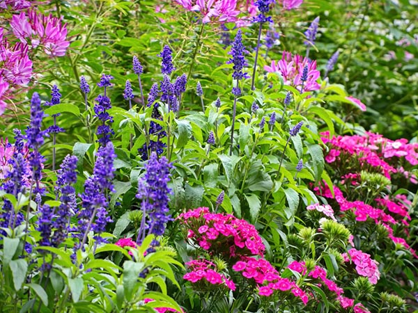 Decorative Flower Garden Edging Ideas to Elevate Your Landscape