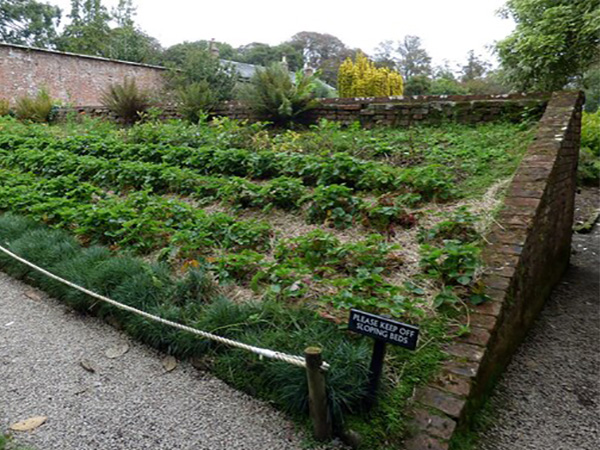 Smart Slope Gardening: How to Turn Challenging Terrain into a Thriving Landscape