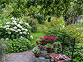 10 Tips for Taking Beautiful Garden Photos