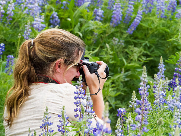 Garden Photography Tips: How to Capture Stunning Outdoor Images