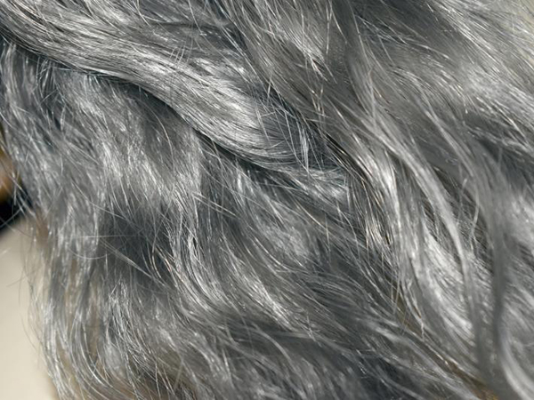 Premature Gray Hair: Common Causes and What You Can Do