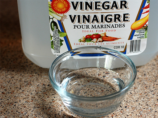 DIY Home Cleaning Solutions: Eco-Friendly, Affordable Ways to Keep Your Home Sparkling
