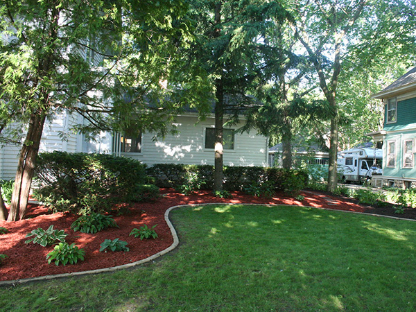 How Landscaping Choices Can Attract Pests Into Your Home and How to Prevent It