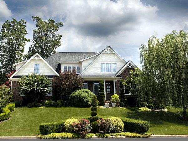 Enhancing Your Front Yard with the Best Trees for Landscaping