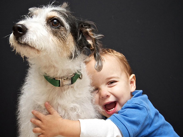 How to Safely Introduce Your Baby to Your Dog or Cat