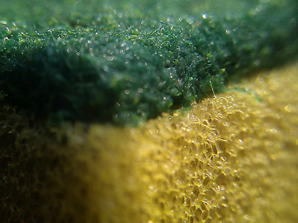 Unveiling the Hidden Menace: Places in Your Home Where Bacteria Likes to Hide