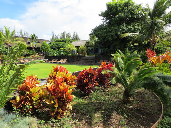 The Benefits of Professional Landscape Design: Transforming Your Outdoor Space