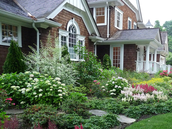 How to Choose the Right Plants for Your Landscape