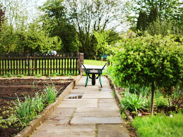Landscaping Trends: What's Hot and Popular in Outdoor Design