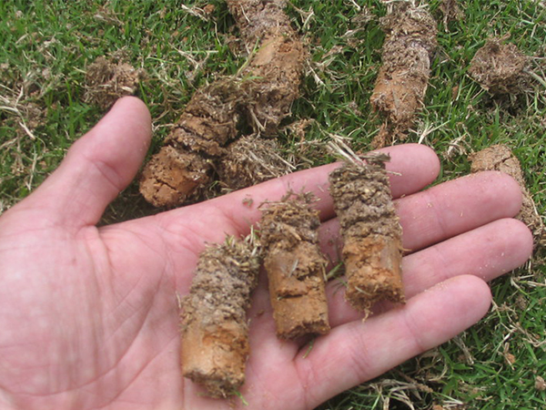 Tips for Aerating Your Lawn