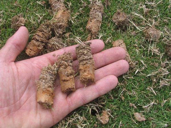 The Crucial Role of Aeration in Lawn Health: Why Your Grass Needs to Breathe