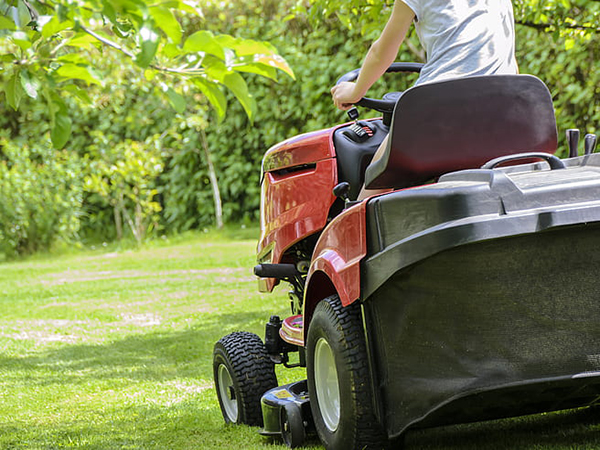 Allergy-Friendly Lawn Care: Tips for a Healthier Outdoor Space
