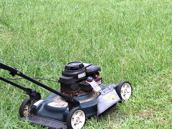 How to Tune Up Your Lawn Mower in 3 Easy Steps