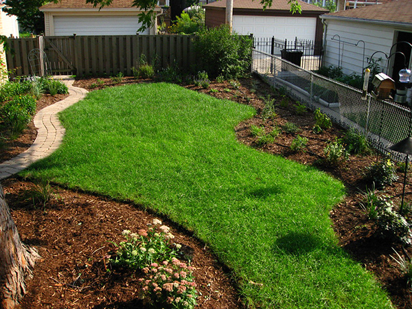 Why Mulching Is One of the Best Things You Can Do for Your Lawn