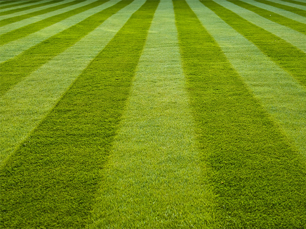 How to Stripe Your Lawn: A Step-by-Step Guide to Achieve That Perfect Lawn Pattern