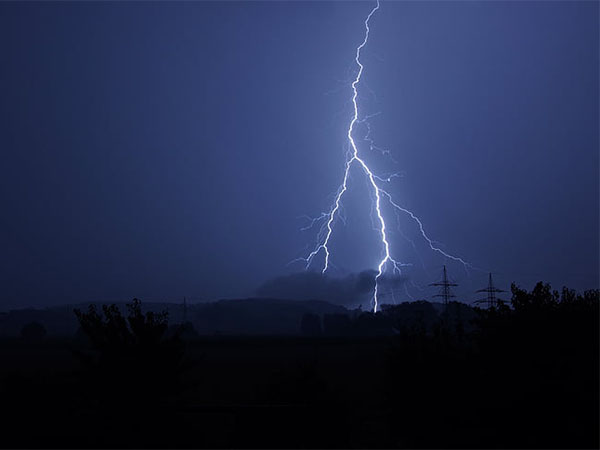 What to Do If a Tree Is Hit By Lightning